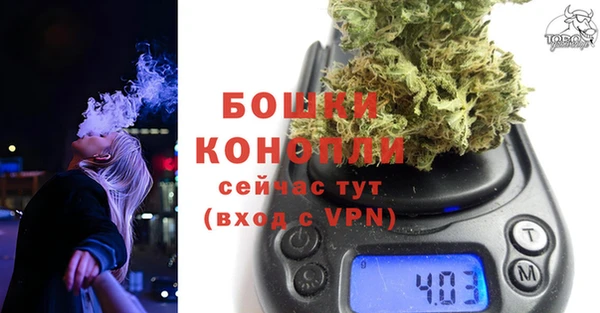 тгк Пересвет