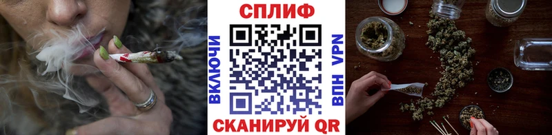 Канабис конопля  Почеп 